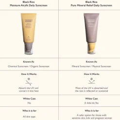 Black Rice Moisture Airfit Daily Sunscreen SPF50+ PA++++