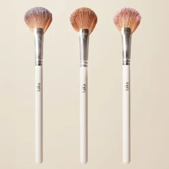 Dreambeam Highlighter
