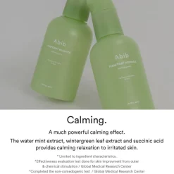 Heartleaf Essence Calming Pump