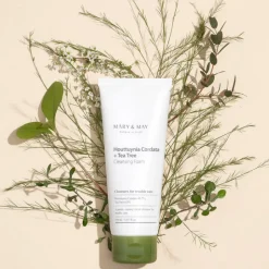 Houttuynia Cordata + Tea Tree Cleansing Foam