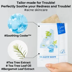 No.4 Icy Soothing Sheet Mask