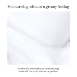 Nutrition Cream