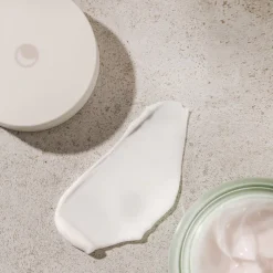 Phyto Plump Collagen Night Cream