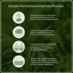 Time Revolution Artemisia Treatment Essence